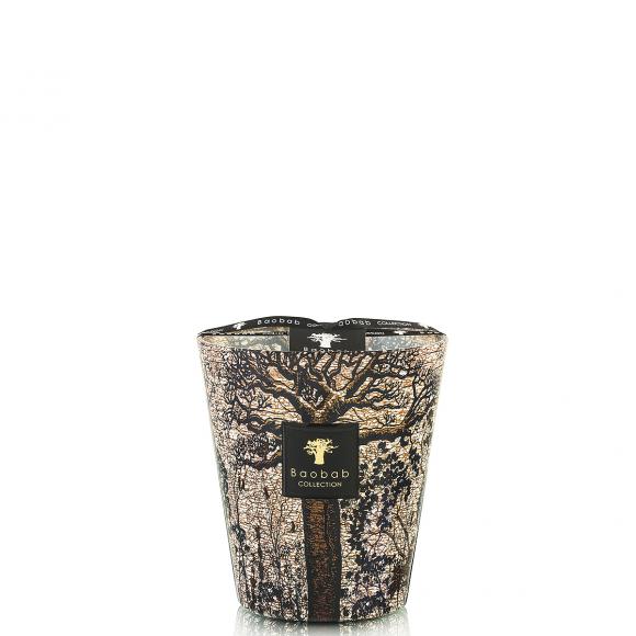 Baobab Collection Morondo Candle - Sacred Trees Collection 