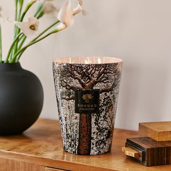 Baobab Collection Morondo Candle - Sacred Trees Collection 