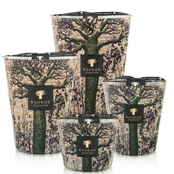 Baobab Collection Kani Candle - Sacred Trees Collection