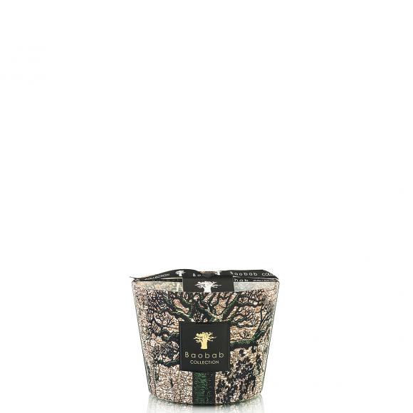 Baobab Collection Kani Candle - Sacred Trees Collection