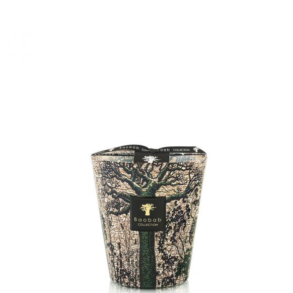 Baobab Collection Kani Candle - Sacred Trees Collection