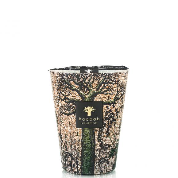 Baobab Collection Kani Candle - Sacred Trees Collection