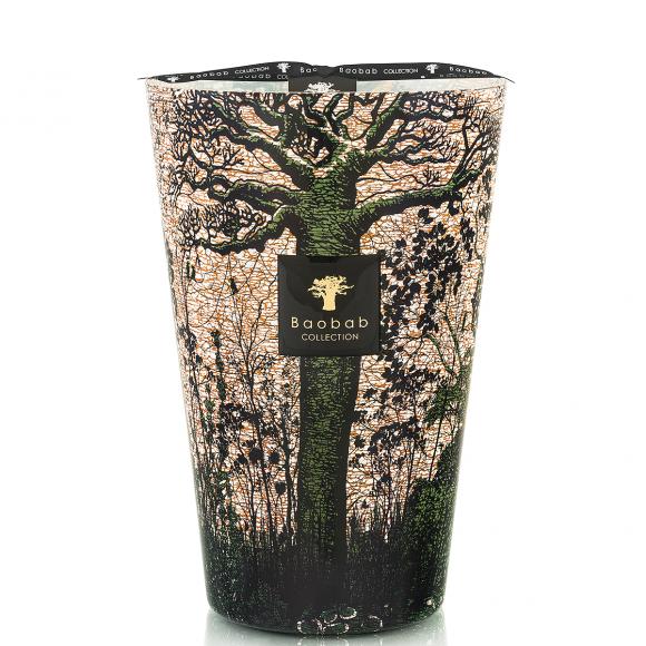 Baobab Collection Kani Candle - Sacred Trees Collection