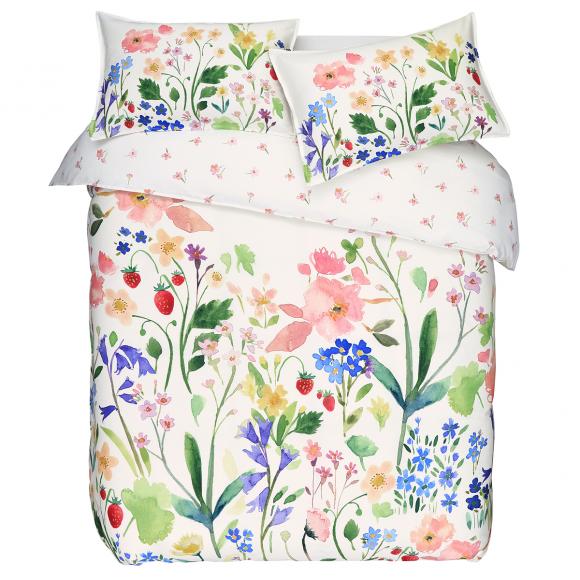 Bluebellgray Berneray