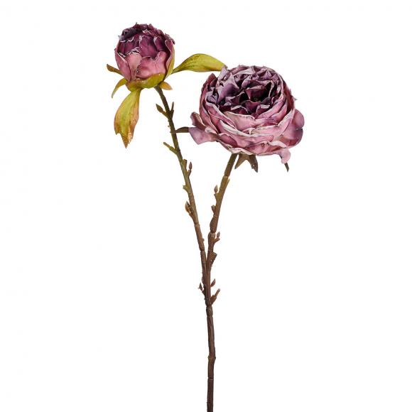 Goodwill Peony Flower / Rose Bud Stem