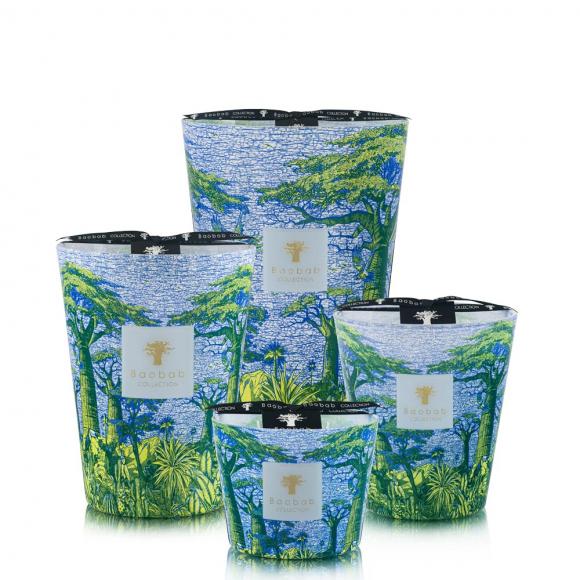 Baobab Collection Yarani Candle - Sacred Trees Summer Collection