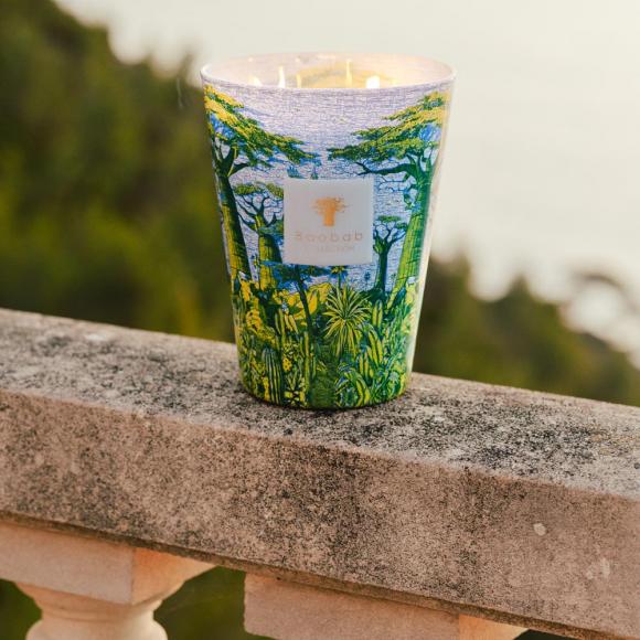 Baobab Collection Yarani Candle - Sacred Trees Summer Collection