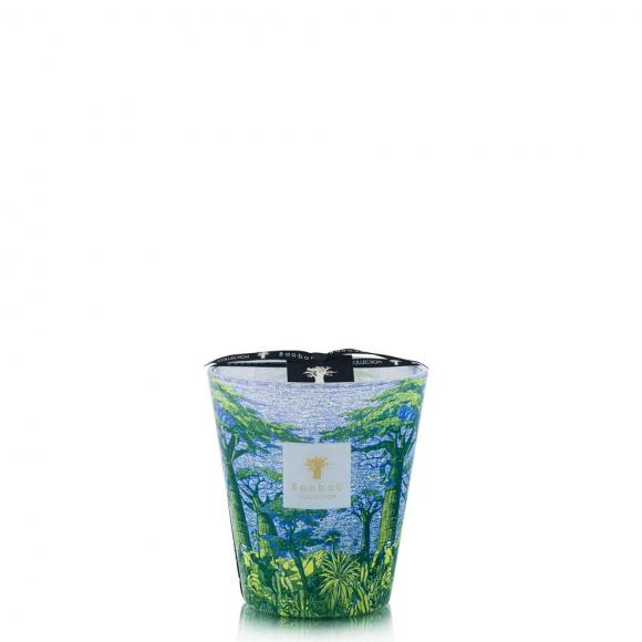 Baobab Collection Yarani Candle - Sacred Trees Summer Collection