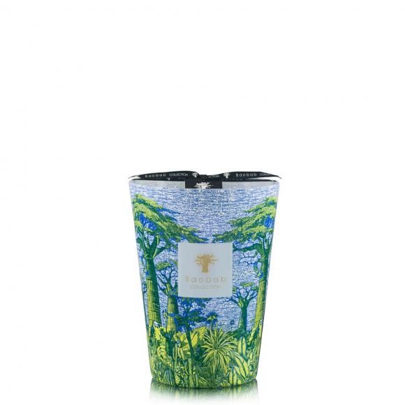 Baobab Collection Yarani Candle - Sacred Trees Summer Collection