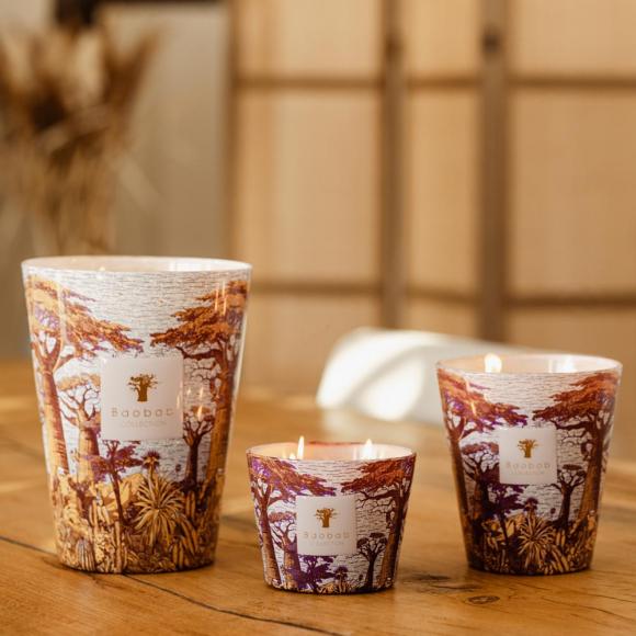 Baobab Collection Massasso Candle - Sacred Trees Summer Collection