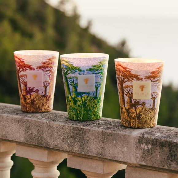 Baobab Collection Massasso Candle - Sacred Trees Summer Collection