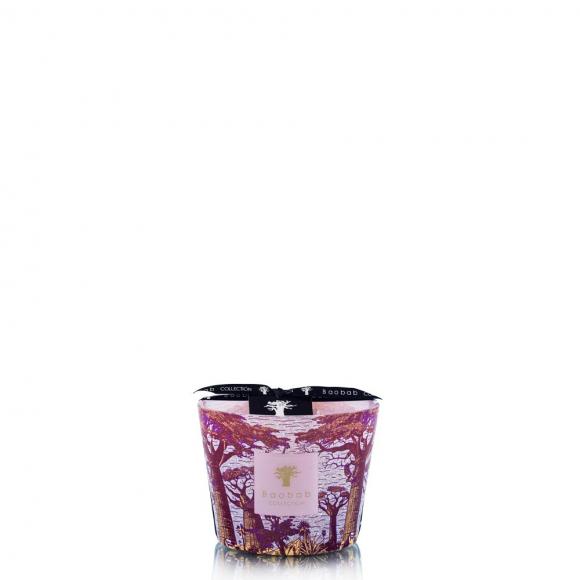 Baobab Collection Massasso Candle - Sacred Trees Summer Collection