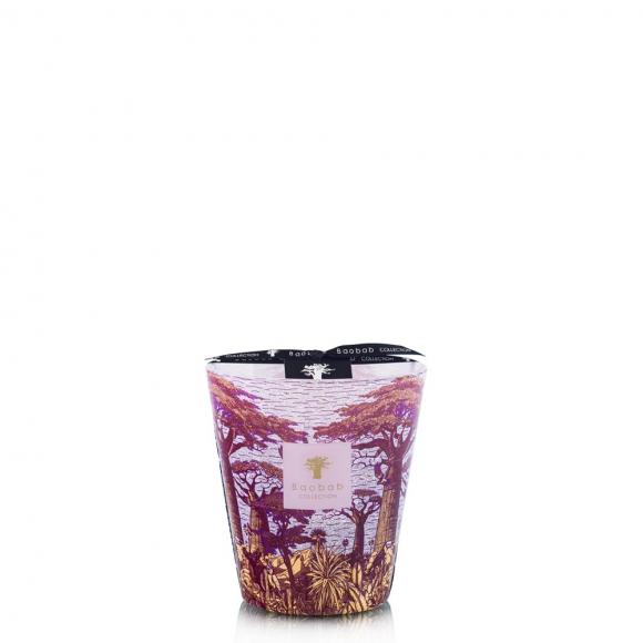 Baobab Collection Massasso Candle - Sacred Trees Summer Collection