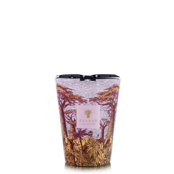 Baobab Collection Massasso Candle - Sacred Trees Summer Collection