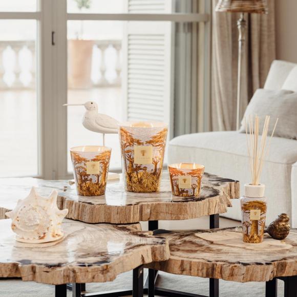 Baobab Collection Cocody Fragrance Diffuser - Sacred Trees Summer Collection