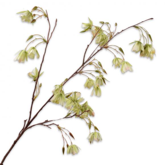 Silk-Ka ELAEOCARPUS SPRAY Green 99cm