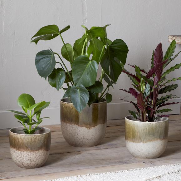 Nkuku Almeida Reactive Glaze Plant Pot - Olive & Natural