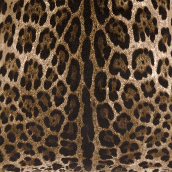 Dolce & Gabbana Casa Leopardo Cushion Velvet 003