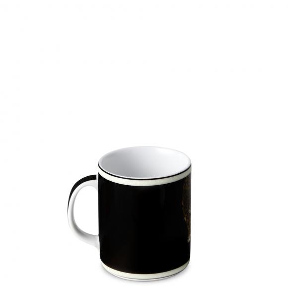 Dolce & Gabbana Casa Leopardo Mug 017