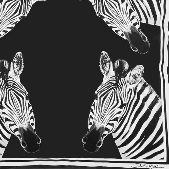 Dolce & Gabbana Casa Zebra Cushion Duchesse Small 007