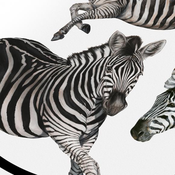 Dolce & Gabbana Casa Zebra Silk Throw Doubled With Wool 006