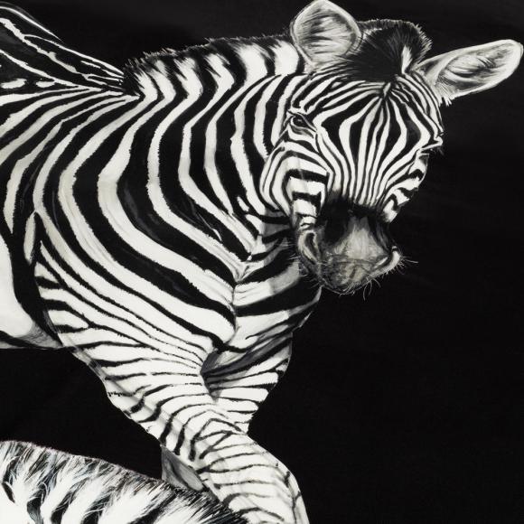 Dolce & Gabbana Casa Zebra Silk Quilted Throw 007