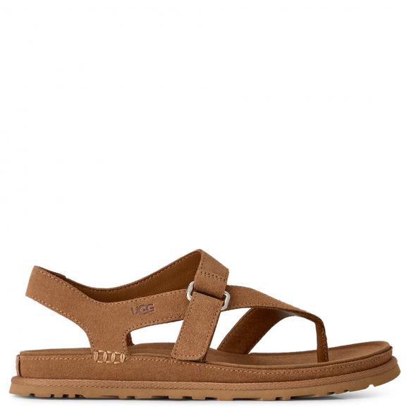 UGG W Goldengaze Toe Post Chestnut