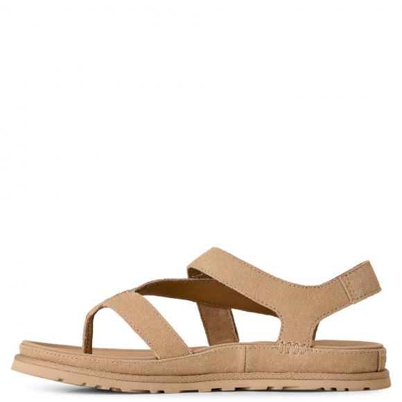 UGG W Goldengaze Toe Post Mustard Seed