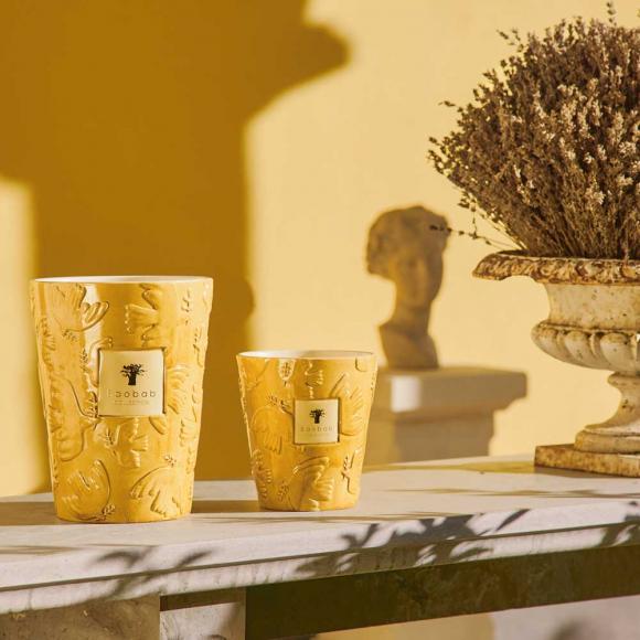 Baobab Collection Dove Candle - Paz Collection Limited Edition