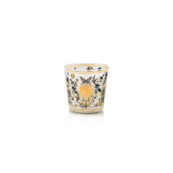Baobab Collection Tomorrowland Candle 2026 - My First Baobab Candle