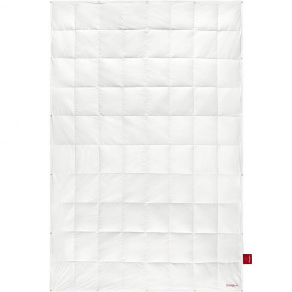 Brinkhaus The Celeste Down Touch Duvet Light