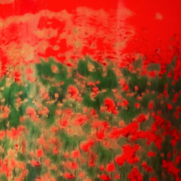 Baobab Collection Poppies Candle - Arty Flowers Limited Edition Collection