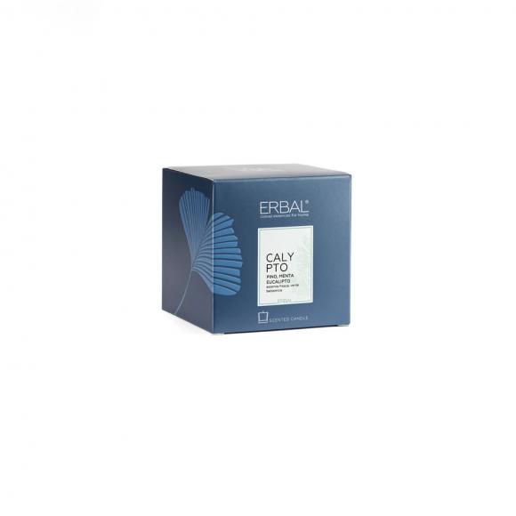 Erbal Calypto Fragranced Candle 210gr