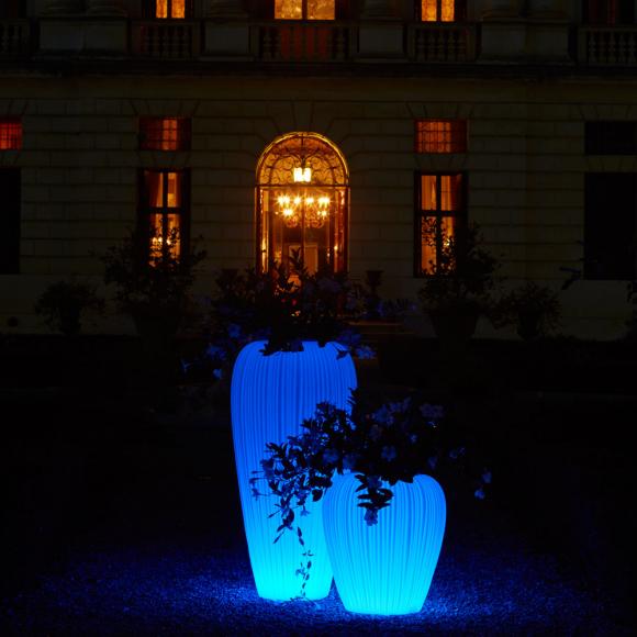 MyYour Skin Planter