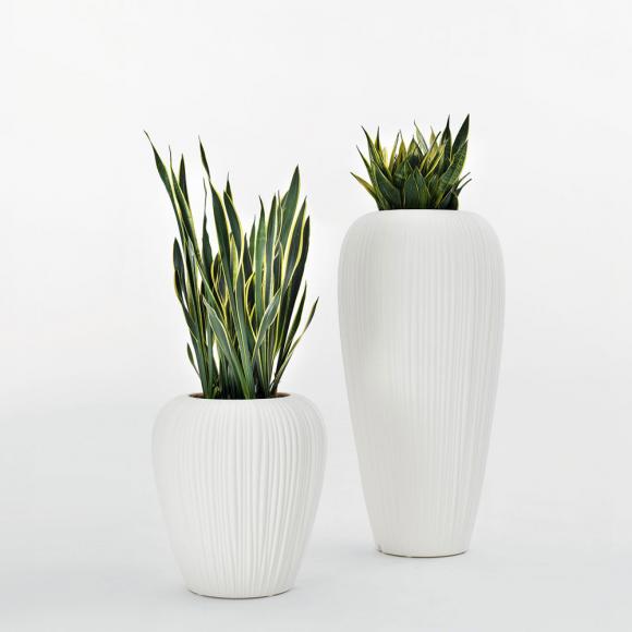 MyYour Skin Planter