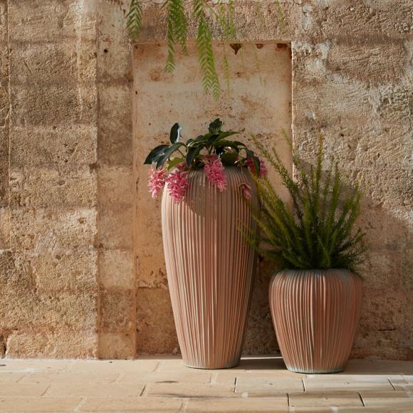 MyYour Skin Planter