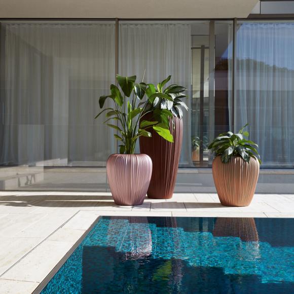 MyYour Skin Planter