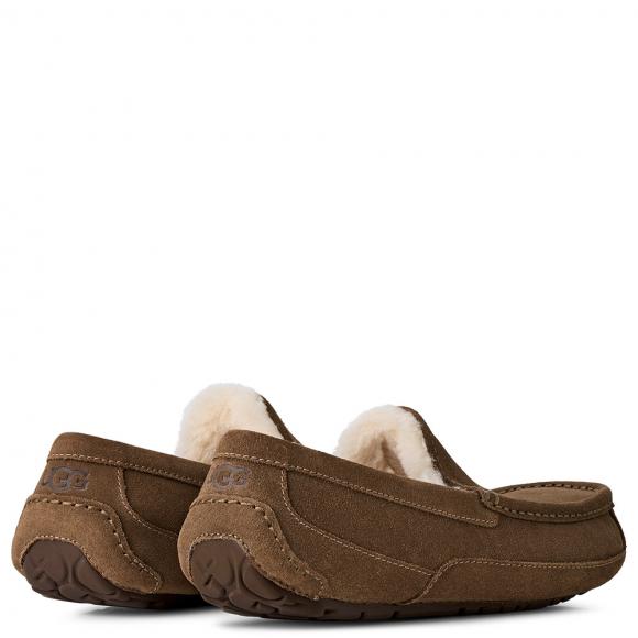 UGG Ascot Light Bronze