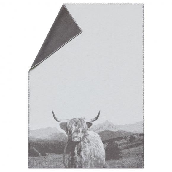 David Fussenegger Highland Cattle Sylt Blanket Throw Brown