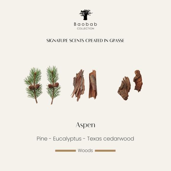 Baobab Collection Aspen Candle - Limited Edition