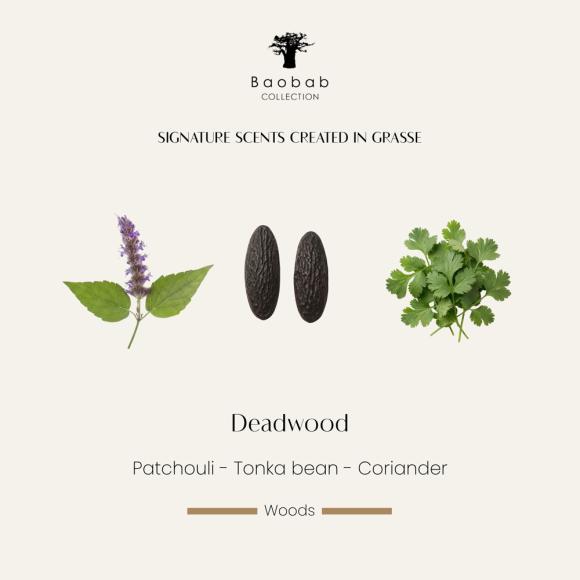 Baobab Collection Calamity Jane Deadwood Candle - Limited Edition