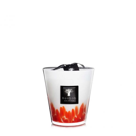 Baobab Collection Feathers Masaai - Feathers Collection 