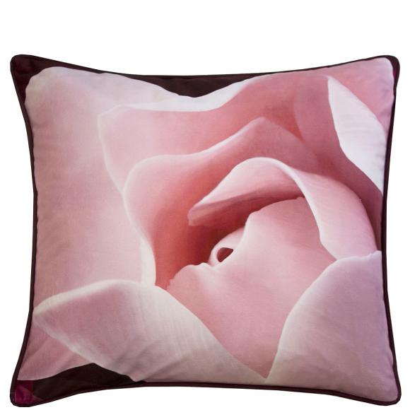 Ted Baker Porcelain Rose in Fashion Duvet Covers at Seymour's Home