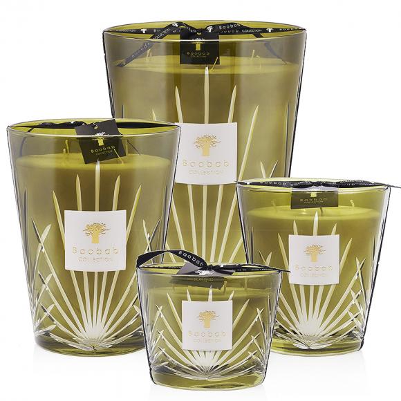 Baobab Collection Palm Springs Candle - Palm Collection 