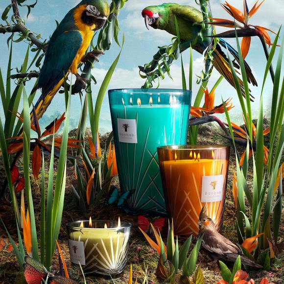 Baobab Collection Palm Springs Candle - Palm Collection 