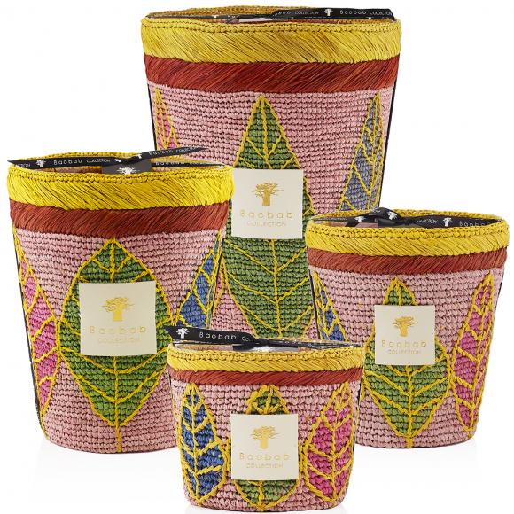 Baobab Collection RAVINTSARA HANITRA