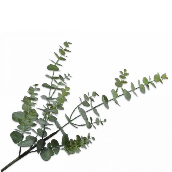 Silk-Ka EUCALYPTUS SPRAY Green 81cm