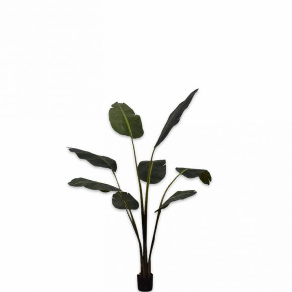 Silk-Ka STRELITZIA green 152cm