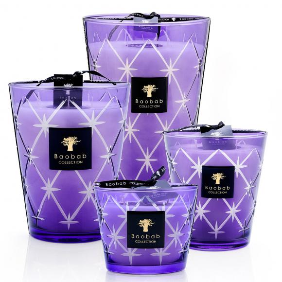 Baobab Collection Rodrigo Candle - Borgia Collection 