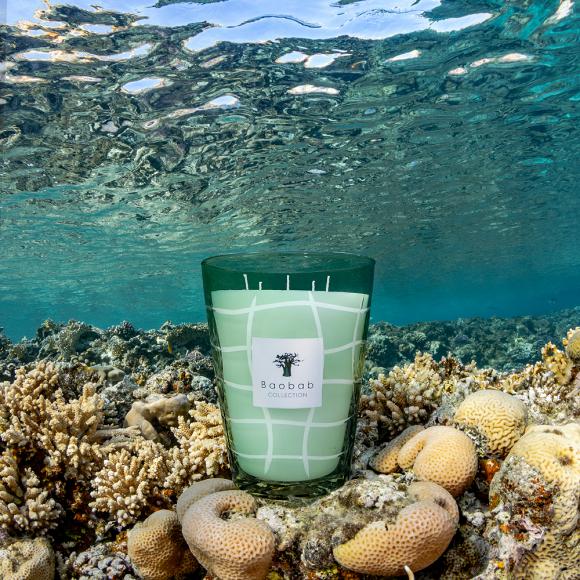 Baobab Collection Nazaré Candle - Waves Collection 